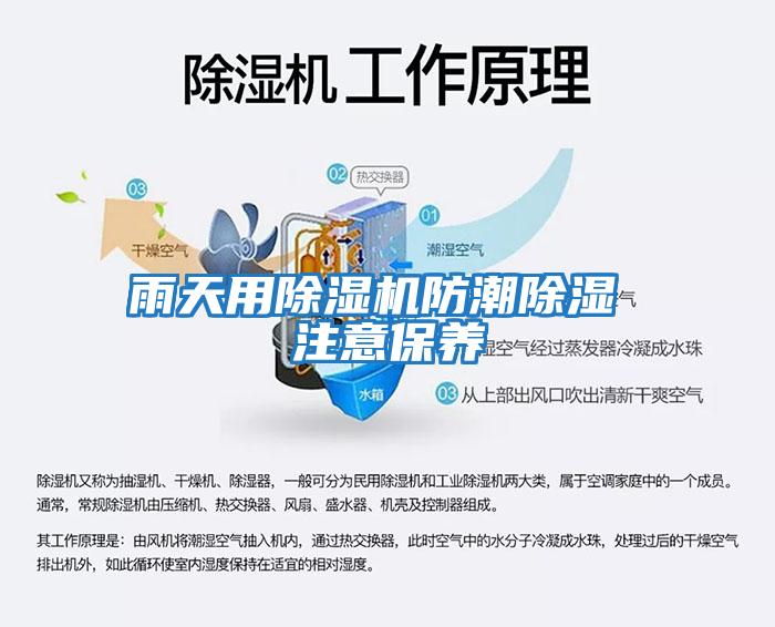 雨天用除濕機防潮除濕 注意保養