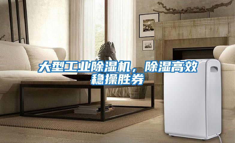 大型工業(yè)除濕機，除濕高效穩操勝券