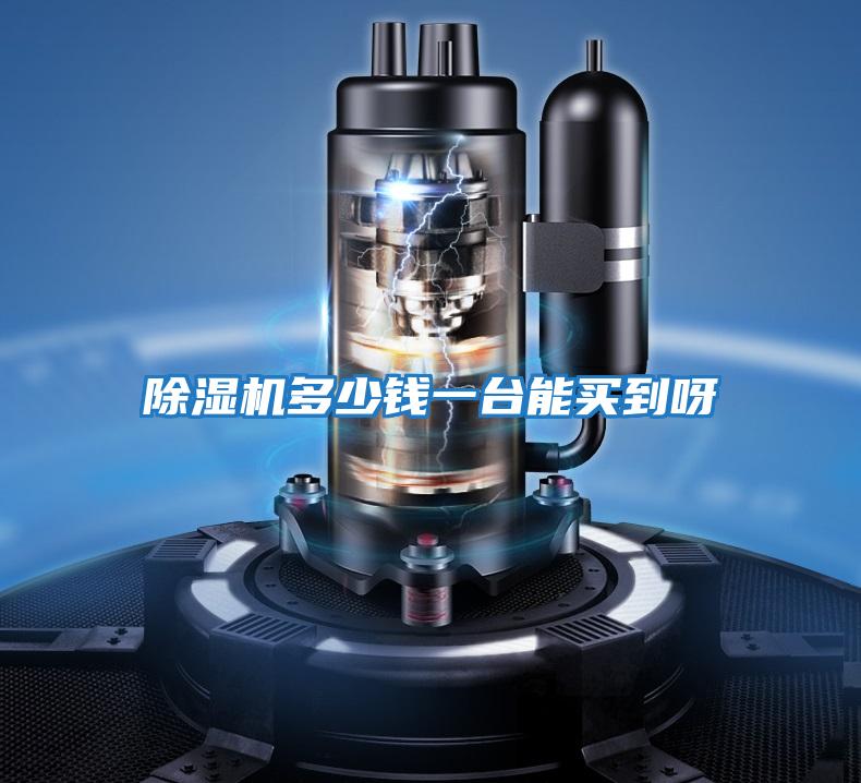 除濕機多少錢(qián)一臺能買(mǎi)到呀