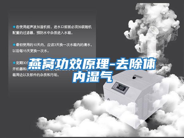 燕窩功效原理-去除體內濕氣