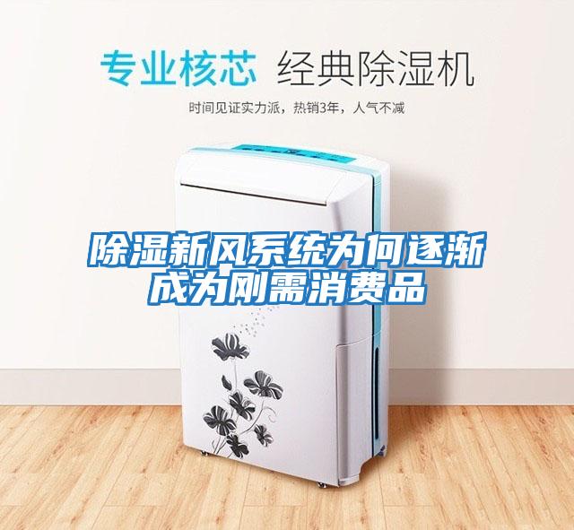 除濕新風(fēng)系統為何逐漸成為剛需消費品