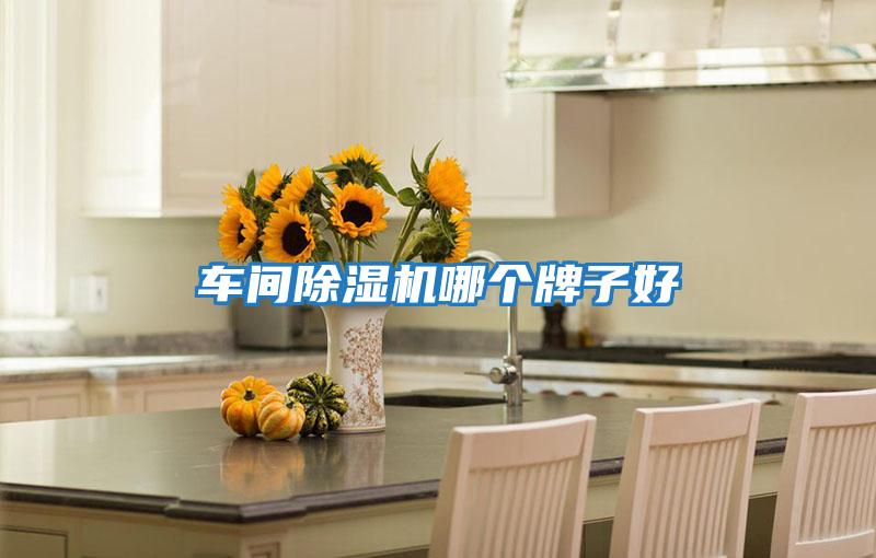 車(chē)間除濕機哪個(gè)牌子好