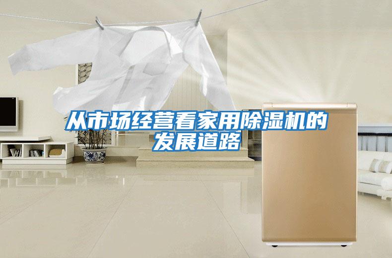從市場(chǎng)經(jīng)營(yíng)看家用除濕機的發(fā)展道路