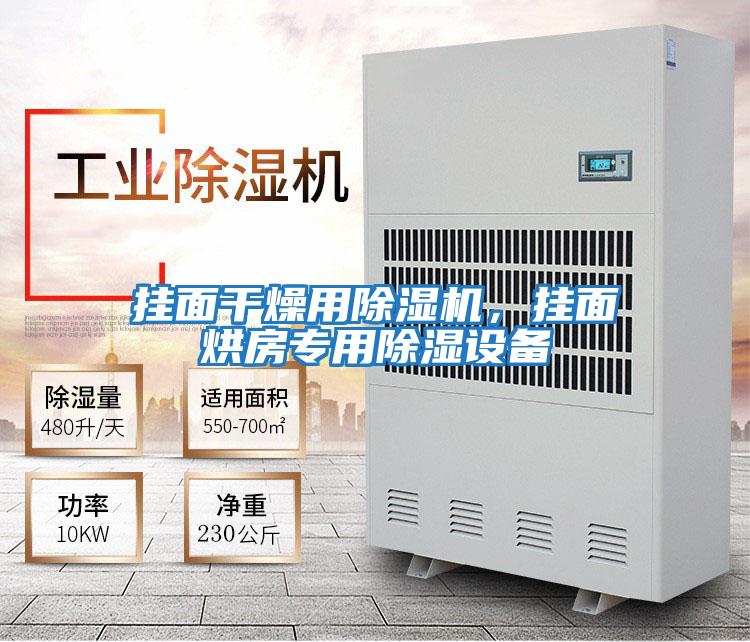 掛面干燥用除濕機，掛面烘房專(zhuān)用除濕設備