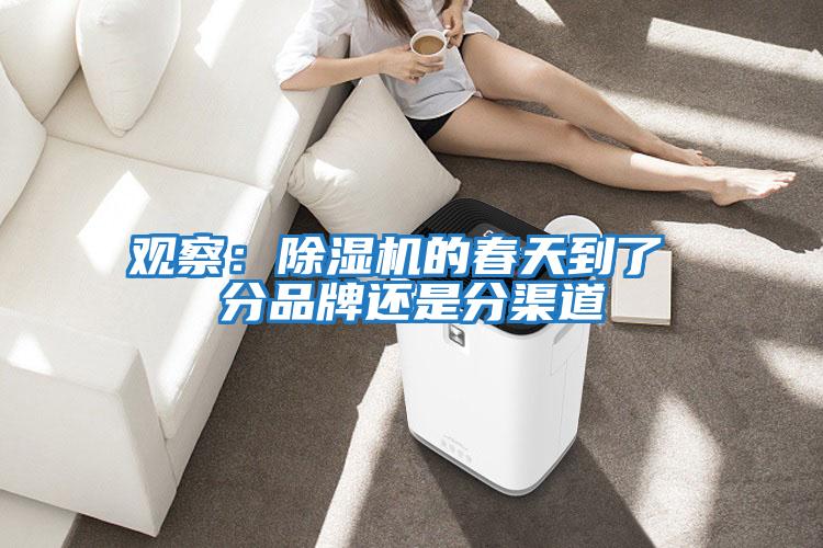 觀(guān)察：除濕機的春天到了 分品牌還是分渠道
