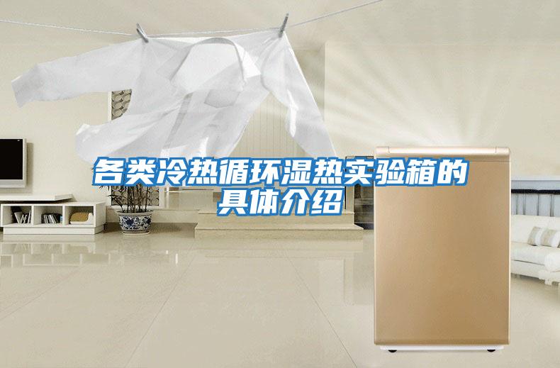各類(lèi)冷熱循環(huán)濕熱實(shí)驗箱的具體介紹