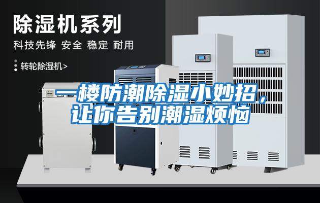 一樓防潮除濕小妙招，讓你告別潮濕煩惱