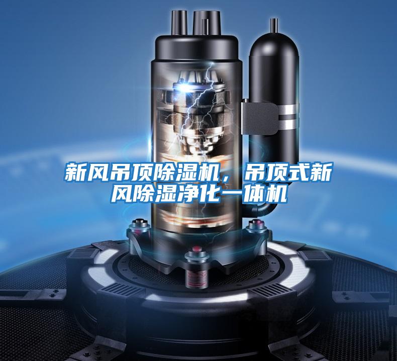 新風(fēng)吊頂除濕機，吊頂式新風(fēng)除濕凈化一體機