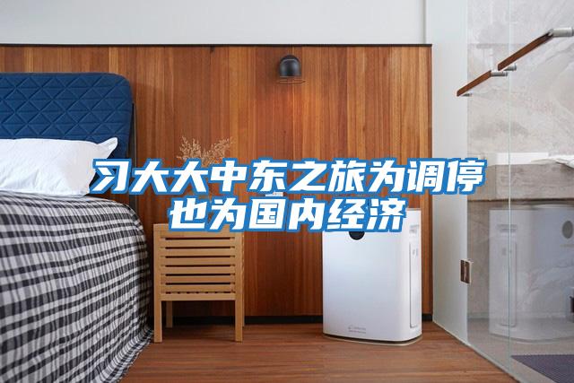 習大大中東之旅為調停也為國內經(jīng)濟