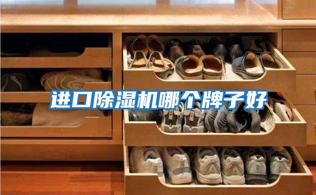 進(jìn)口除濕機哪個(gè)牌子好