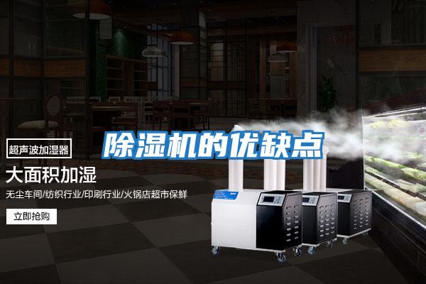 除濕機的優(yōu)缺點(diǎn)