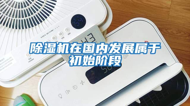 除濕機在國內發(fā)展屬于初始階段