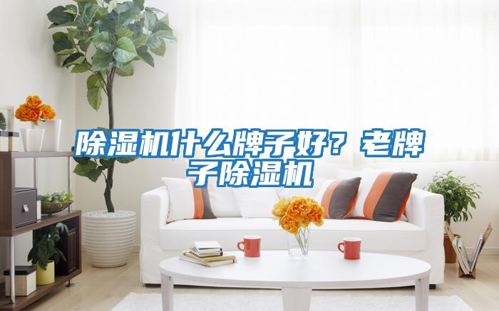 除濕機什么牌子好？老牌子除濕機