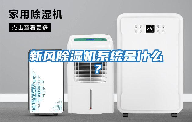 新風(fēng)除濕機系統是什么？