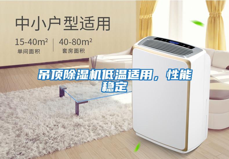 吊頂除濕機低溫適用，性能穩定