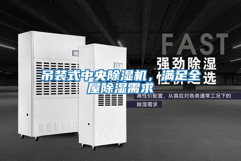 吊裝式中央除濕機，滿(mǎn)足全屋除濕需求