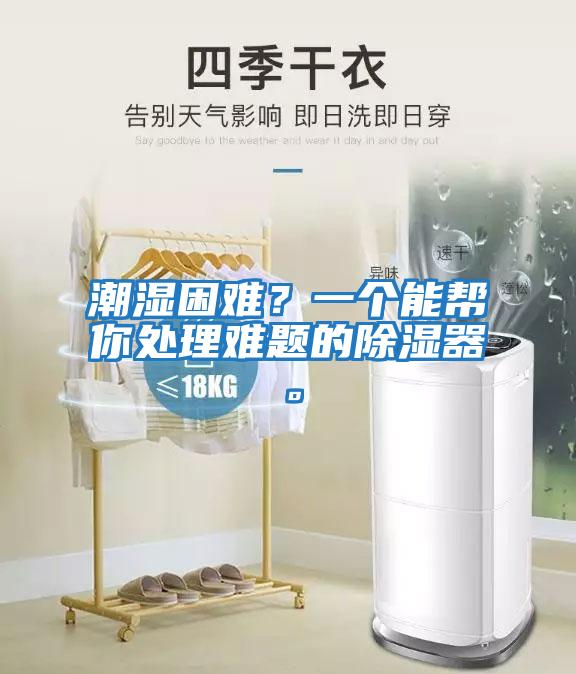 潮濕困難？一個(gè)能幫你處理難題的除濕器。