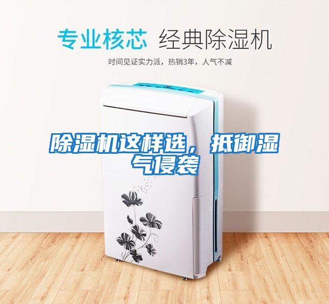 除濕機這樣選，抵御濕氣侵襲