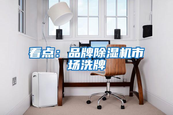 看點(diǎn)：品牌除濕機市場(chǎng)洗牌