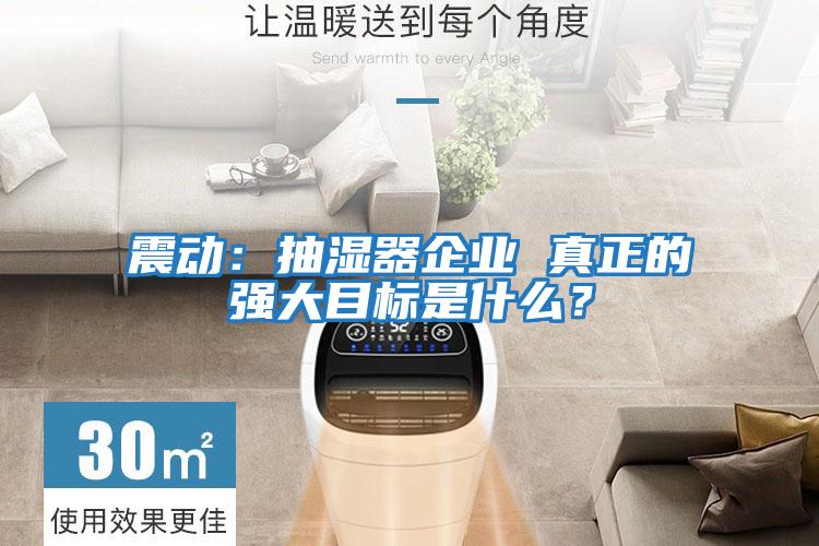 震動(dòng)：抽濕器企業(yè) 真正的強大目標是什么？