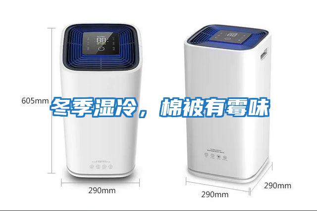 冬季濕冷，棉被有霉味
