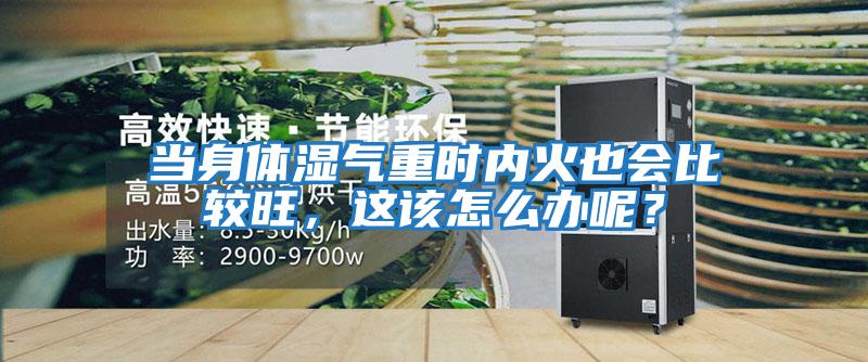 當身體濕氣重時(shí)內火也會(huì )比較旺，這該怎么辦呢？