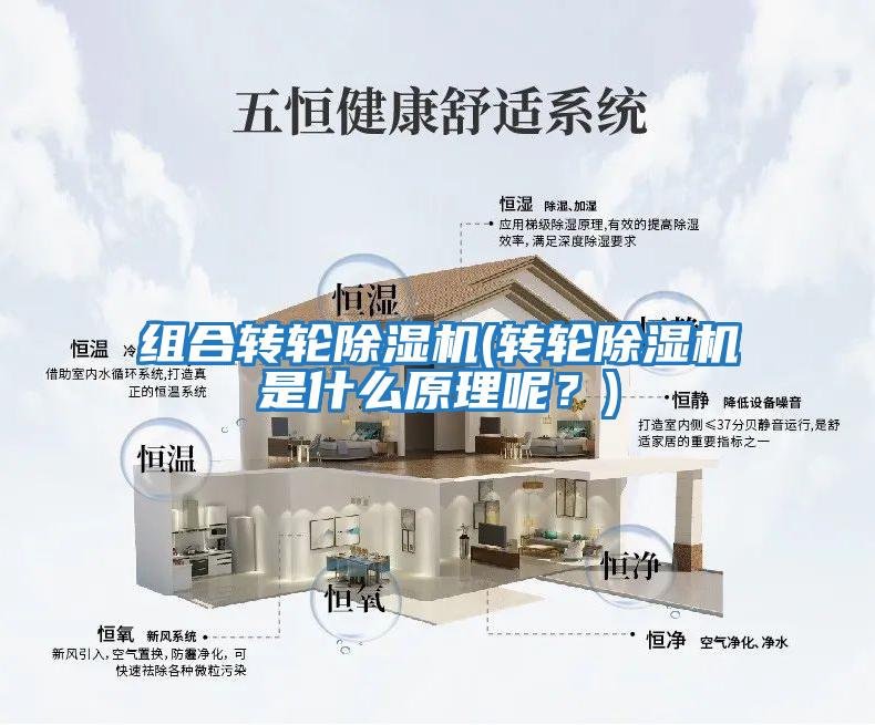 組合轉輪除濕機(轉輪除濕機是什么原理呢？)