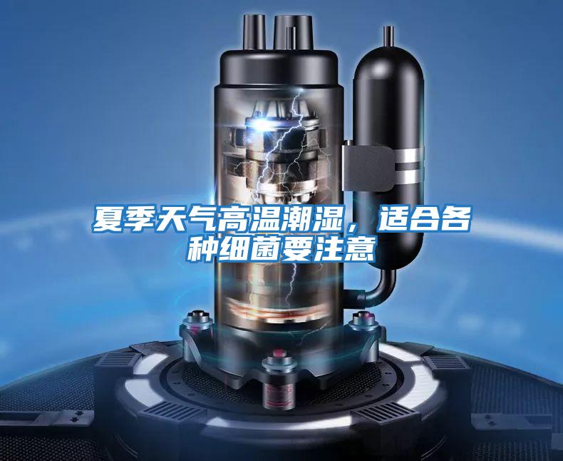 夏季天氣高溫潮濕，適合各種細菌要注意