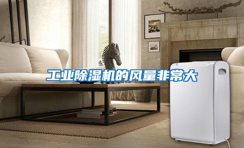 工業(yè)除濕機的風(fēng)量非常大