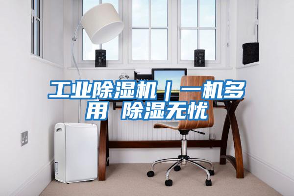 工業(yè)除濕機｜一機多用 除濕無(wú)憂(yōu)