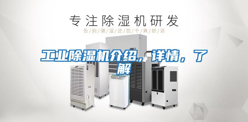 工業(yè)除濕機介紹，詳情，了解