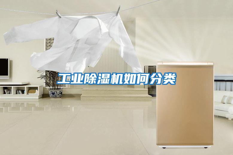 工業(yè)除濕機如何分類(lèi)