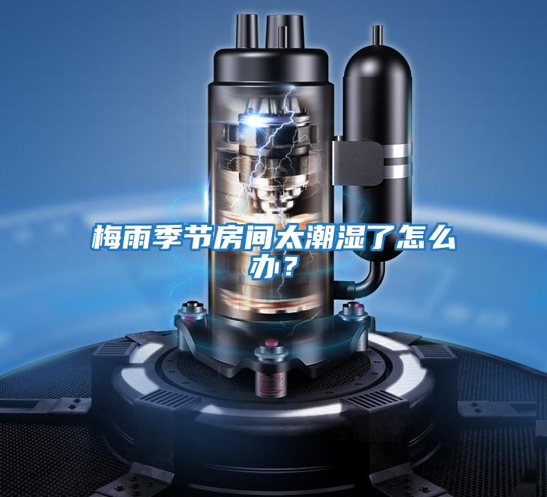梅雨季節房間太潮濕了怎么辦？