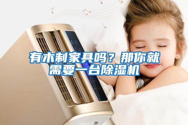 有木制家具嗎？那你就需要一臺除濕機