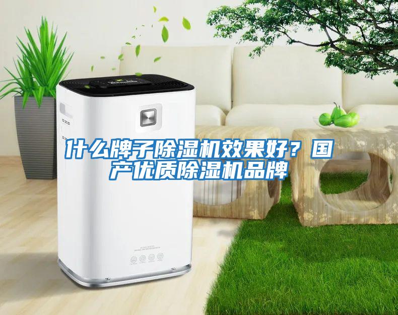 什么牌子除濕機效果好？國產(chǎn)優(yōu)質(zhì)除濕機品牌
