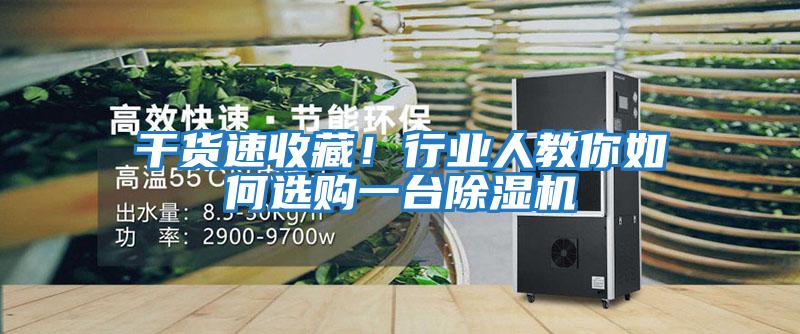 干貨速收藏！行業(yè)人教你如何選購一臺除濕機