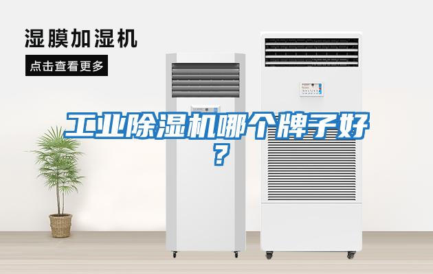 工業(yè)除濕機哪個(gè)牌子好？