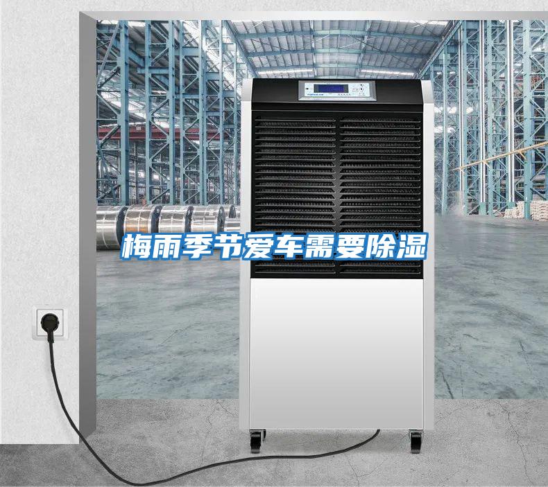 梅雨季節愛(ài)車(chē)需要除濕