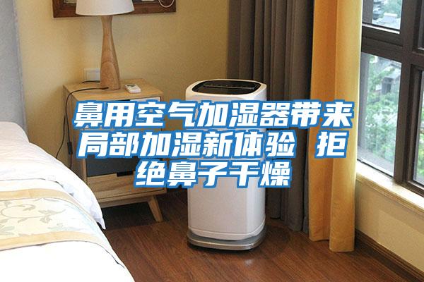 鼻用空氣加濕器帶來(lái)局部加濕新體驗 拒絕鼻子干燥