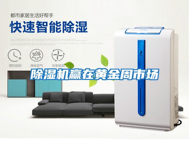 除濕機贏(yíng)在黃金周市場(chǎng)