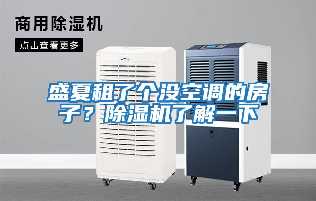 盛夏租了個(gè)沒(méi)空調的房子？除濕機了解一下