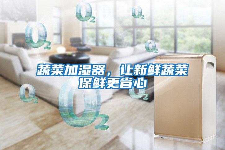 蔬菜加濕器，讓新鮮蔬菜保鮮更省心