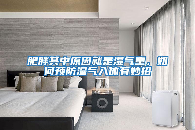 肥胖其中原因就是濕氣重，如何預防濕氣入體有妙招