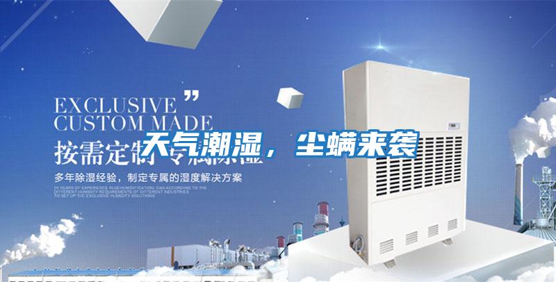 天氣潮濕，塵螨來(lái)襲