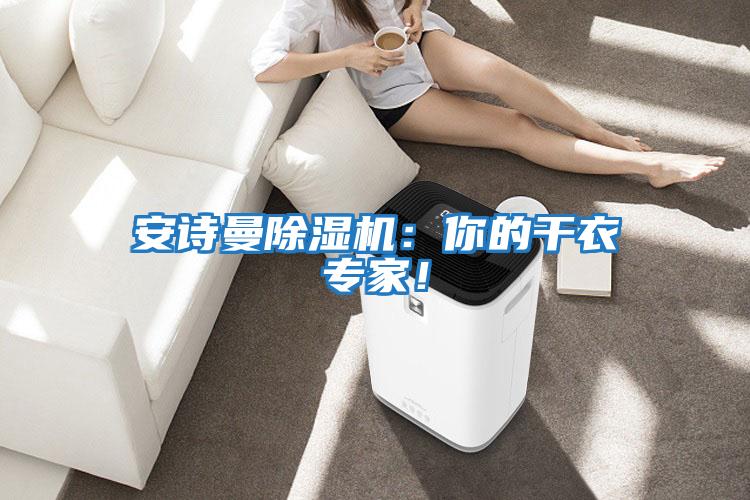 安詩(shī)曼除濕機：你的干衣專(zhuān)家！