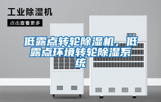 低露點(diǎn)轉輪除濕機，低露點(diǎn)環(huán)境轉輪除濕系統