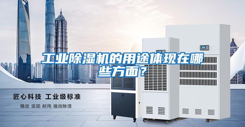 工業(yè)除濕機的用途體現在哪些方面？
