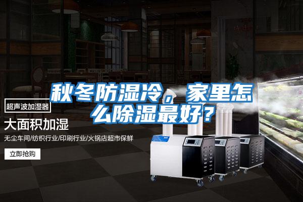 秋冬防濕冷，家里怎么除濕最好？