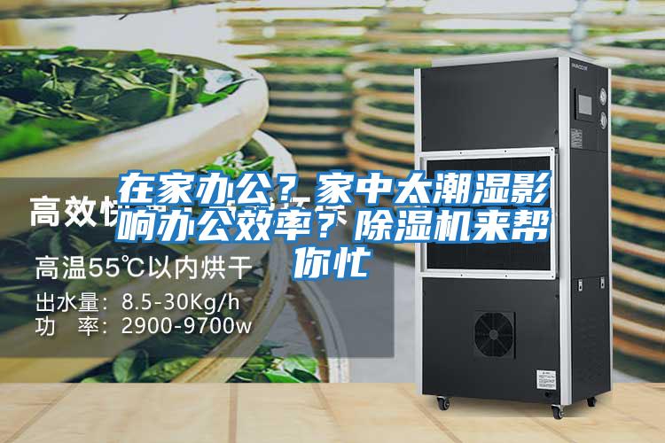 在家辦公？家中太潮濕影響辦公效率？除濕機來(lái)幫你忙