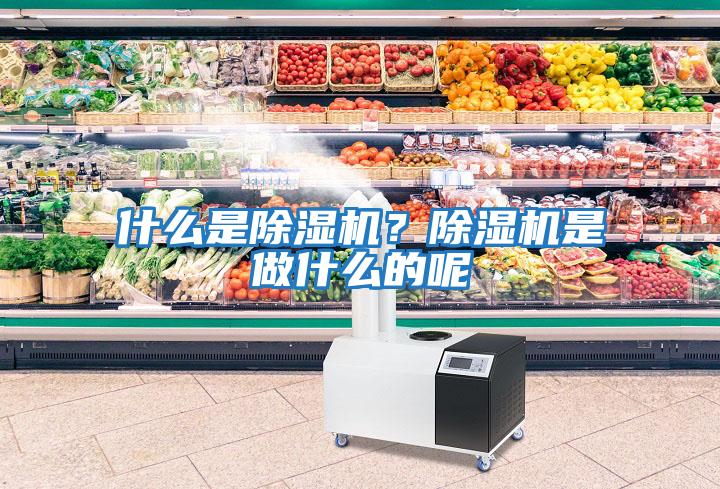 什么是除濕機？除濕機是做什么的呢